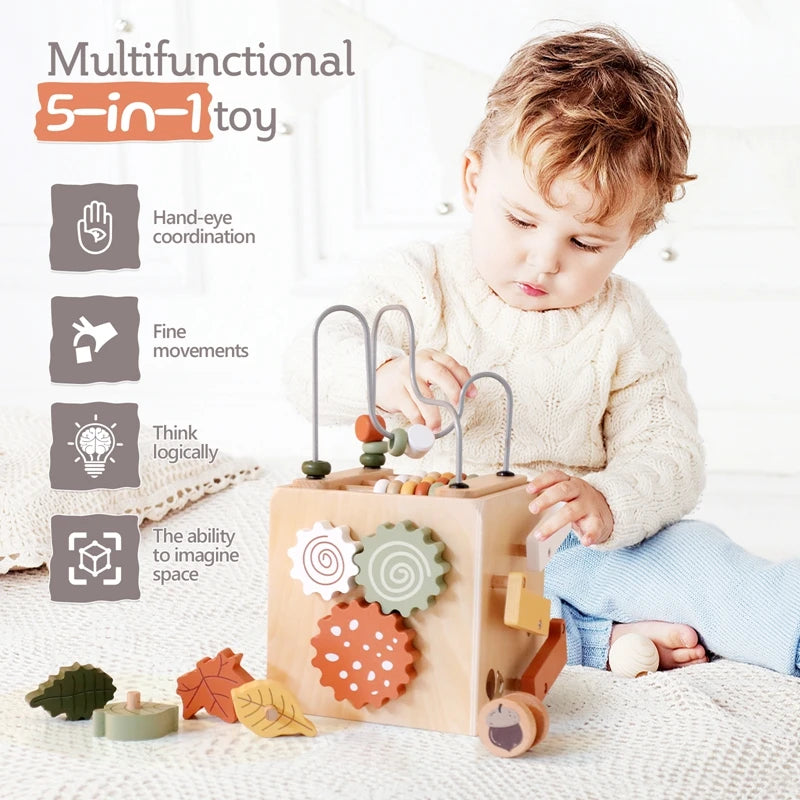 Montessori Multifunctional Cube