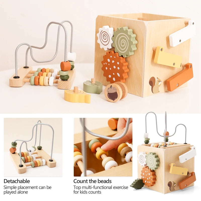 Montessori Multifunctional Cube