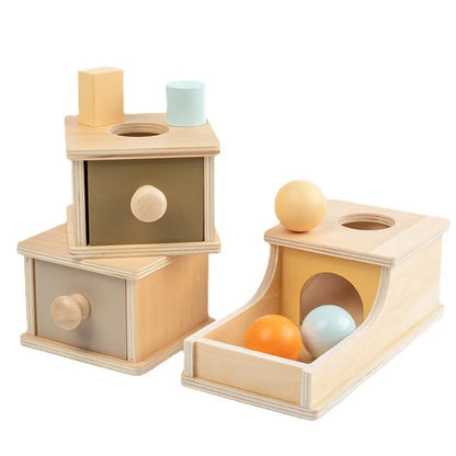 Montessori Wood Kit